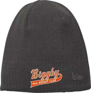 Biggby Coffee AAA New Era Knit Beanie