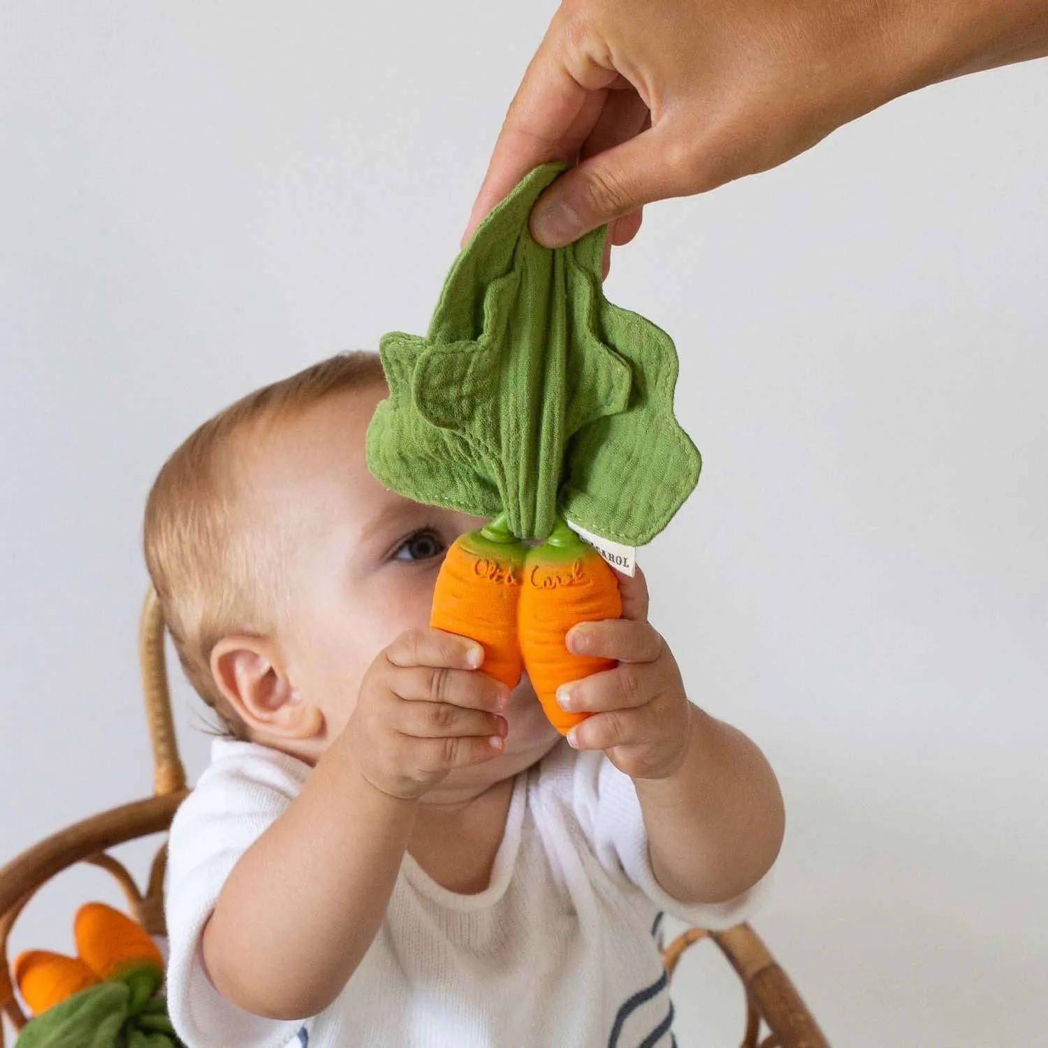 Cathy the Carrot Mini Doudou-Teether