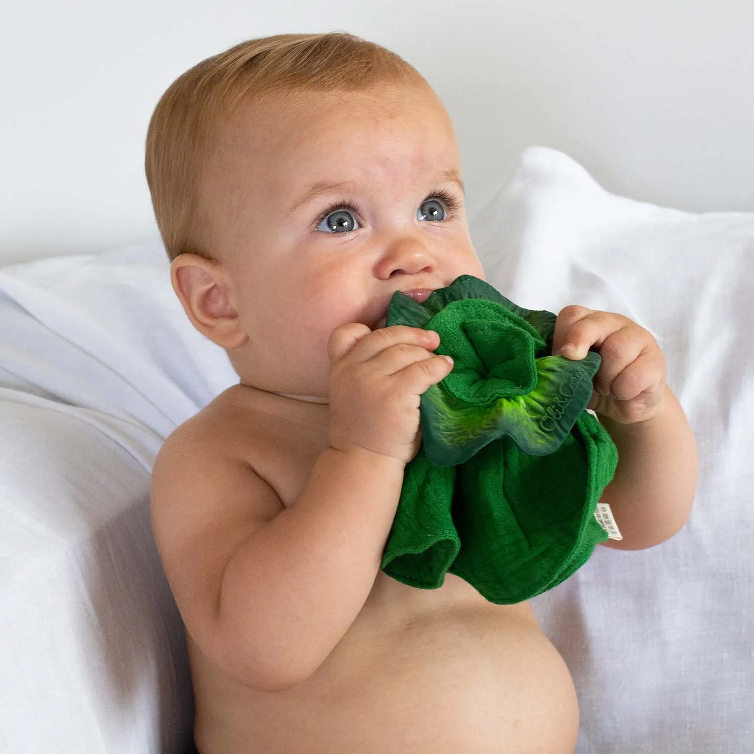 Kendall the Kale Mini Doudou-Teether