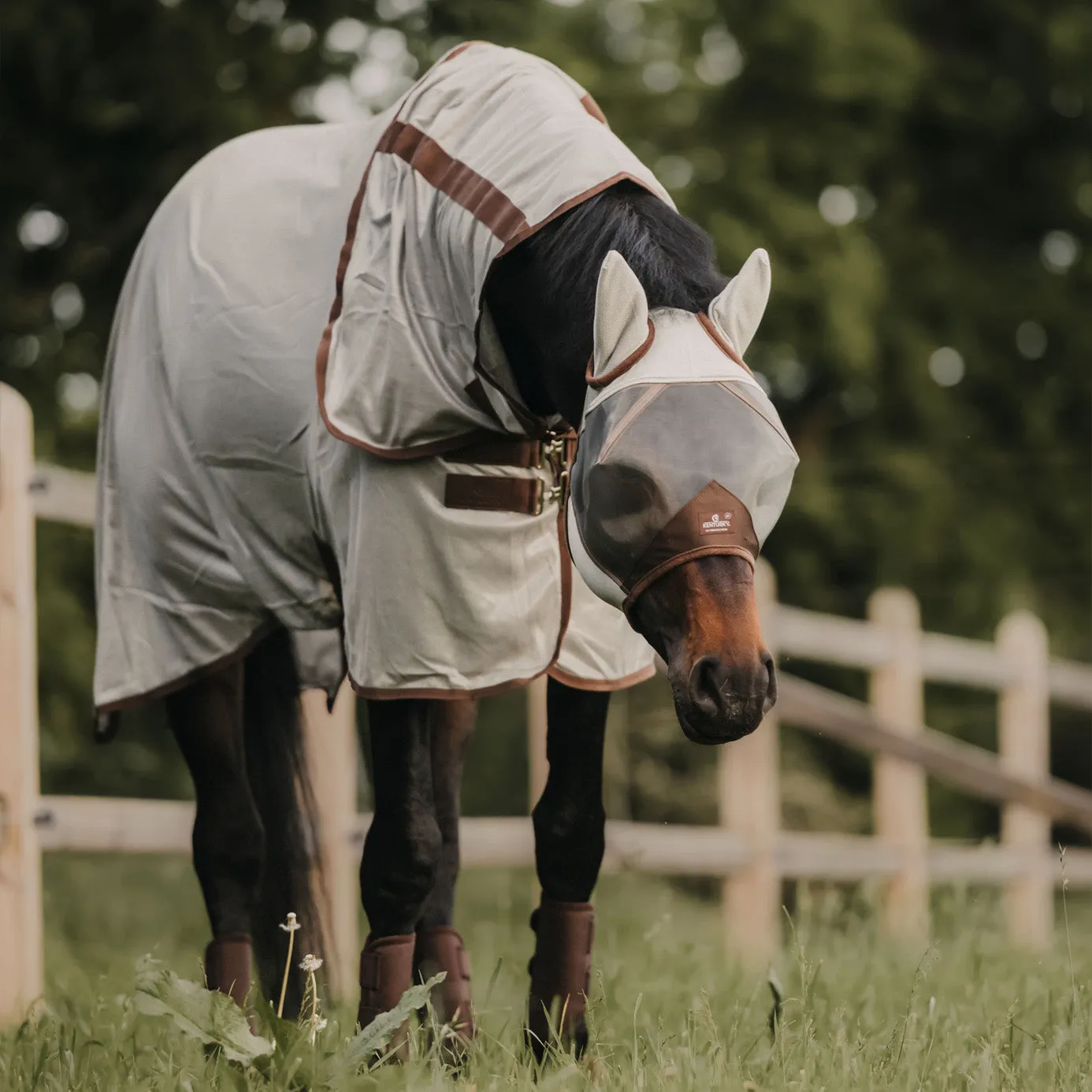 Kentucky Horsewear Fly Mask Classic with Ears - Silver Grey