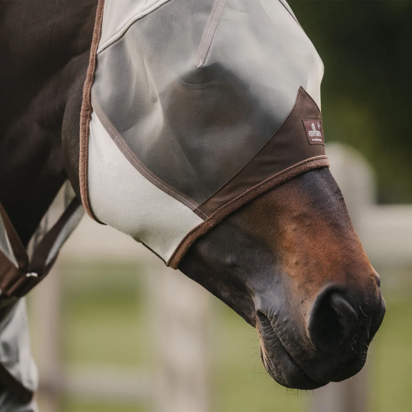 Kentucky Horsewear Fly Mask Classic with Ears - Silver Grey