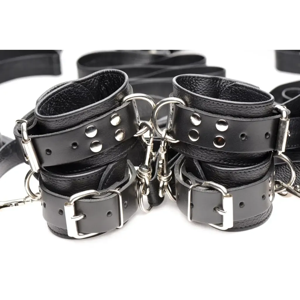 Leather Bed Restraint Kit