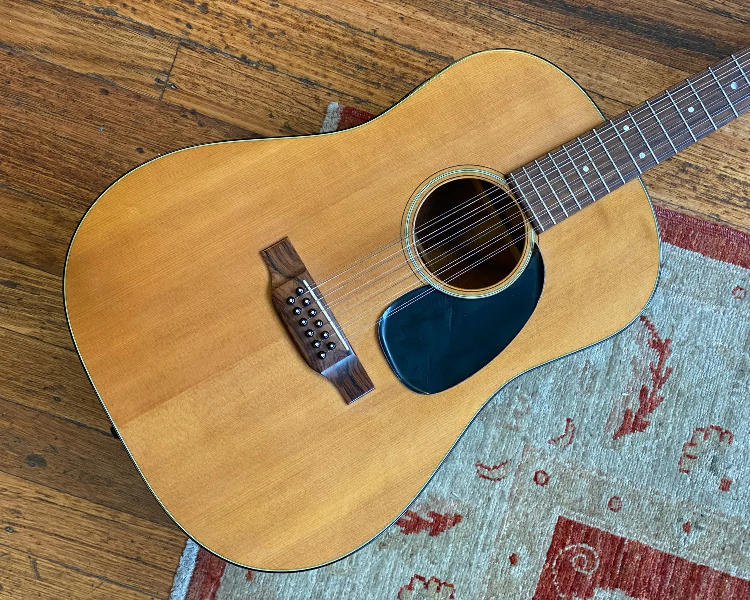 Martin D12-20 w/ iconic blue Martin Case!