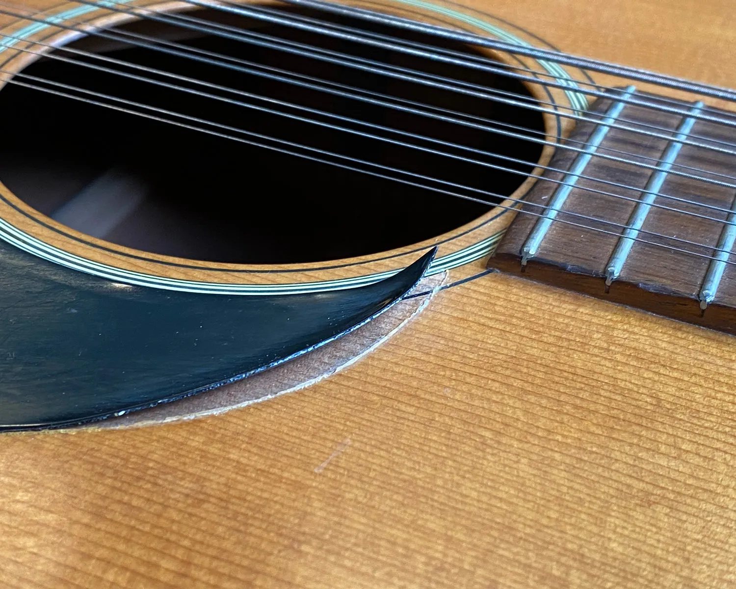 Martin D12-20 w/ iconic blue Martin Case!